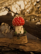 Fly Agaric Glass Jar Mushroom — Round Cap
