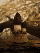 Morel Glass Jar Mushroom
