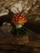 Fly Agaric Glass Jar Mushroom
