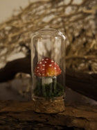 Fly Agaric Glass Jar Mushroom