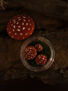 LED Mushroom Night Light Jar
