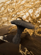 Black Trumpet