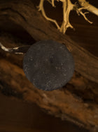 Black Trumpet