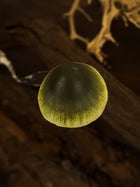 Witch's Hat