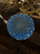 Blue Fly Agaric