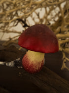 Ruby Cap