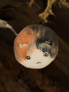 Calico Cat