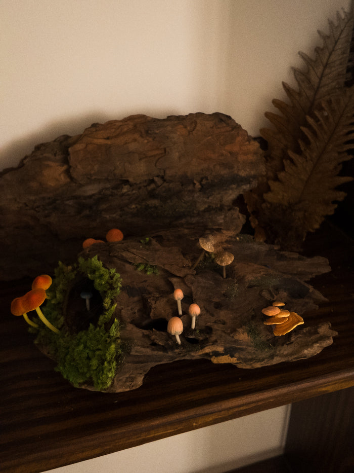 Driftwood log · $89