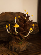 Pine Cone Mushroom Diorama