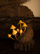 Snail Shell Mushroom Diorama