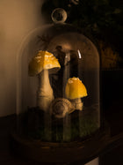 Large Glass Dome Mushroom