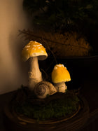 Large Glass Dome Mushroom
