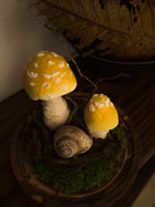 Large Glass Dome Mushroom