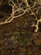 Mycena Mushroom Forest Diorama