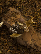The Mushroom Rider