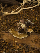 The Mushroom Rider