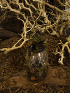 Vintage Lantern Mushroom Diorama