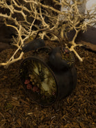 Forgotten Mushroom Clock