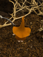 The Amber Mushroom Spirit