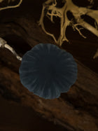 Smoke Bonnet