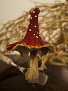 Fly Agaric