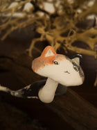 Calico Cat