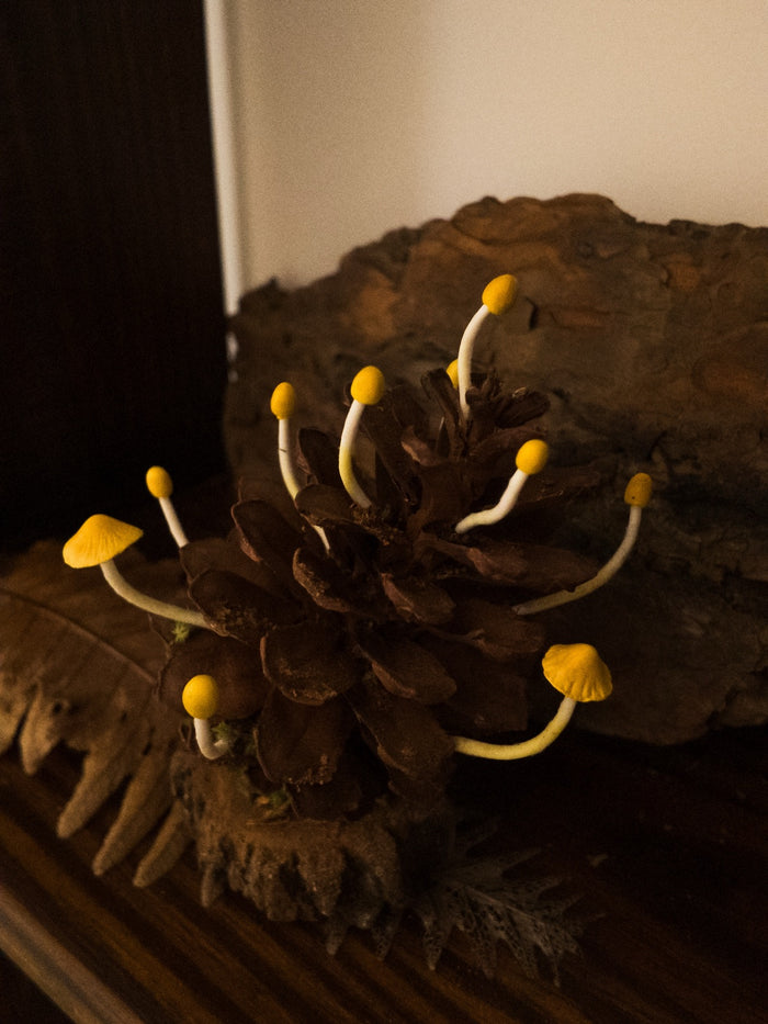 Pine Cone Mushroom Diorama