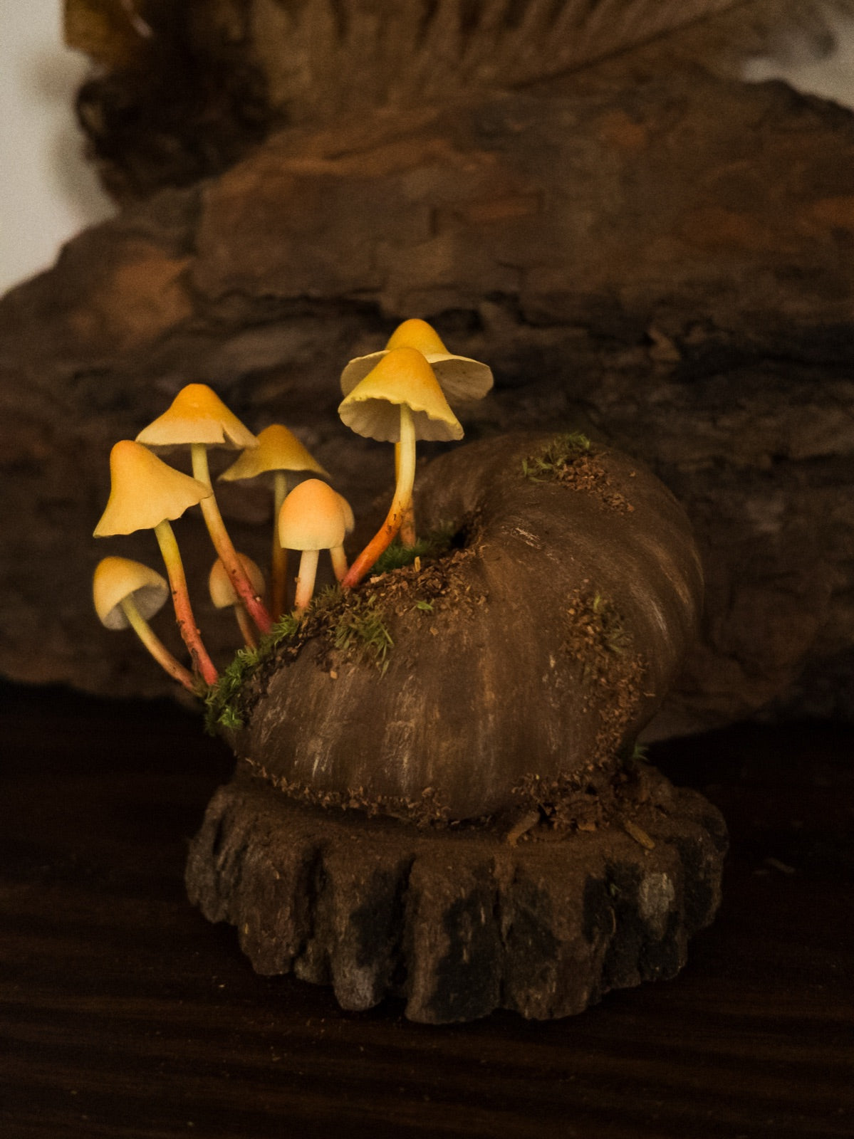 Snail shell · $39